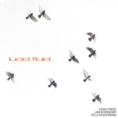 lucid fluid